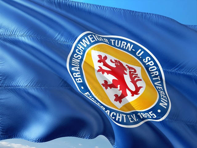 在他们共同